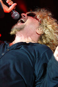 Chickenfoot, photo by Noel Buckley