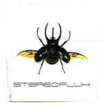 Stereoflux