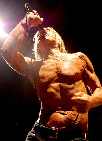 Iggy Pop, photo by Moonshayde Photography