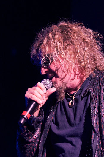 Chickenfoot, photo by Bob Singleton