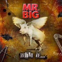 Mr Big