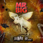 Mr Big